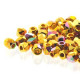 True2™ Czech Fire polished faceted glass beads 2mm - Crystal 24k Gold plated ab